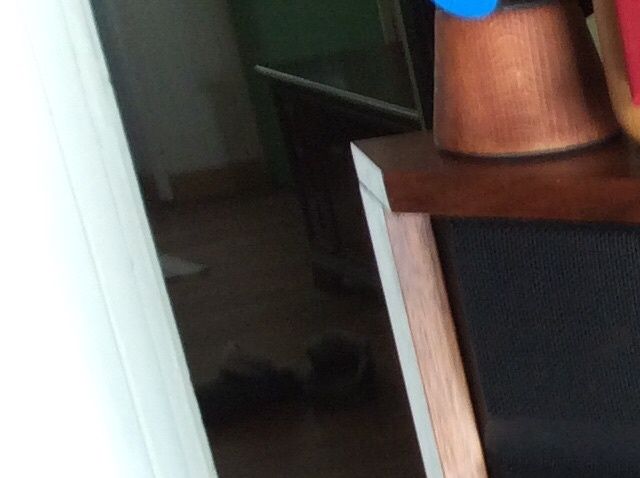Un nome MITICO nel panorama hifi, ALLISON, e nello specifico il modello di punta, la ONE. strana costruzione lignea, abbastanza massiccia e nello stesso tempo esile. Con un dispendio di altoparlanti doppio a confronto con molte costruzioni del suo periodo di appartenenza ( circa 35 anni orsono ).
Un suono amato e disprezzato ma, proprio in virtù di questo,entrato nell'Olimpo del suono riprodotto in casa.
Un suono 